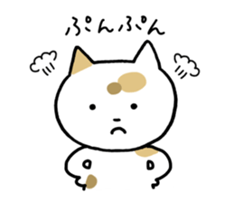 Tortoiseshell cat today sticker #10278087