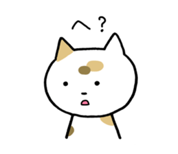 Tortoiseshell cat today sticker #10278091