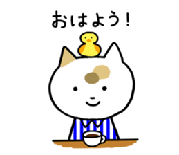 Tortoiseshell cat today sticker #10278092