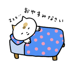 Tortoiseshell cat today sticker #10278093