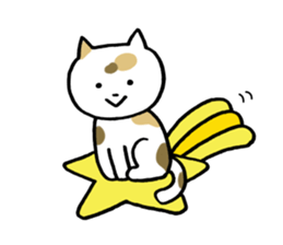 Tortoiseshell cat today sticker #10278095