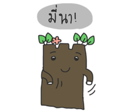 khum phuan tree sticker #10285701