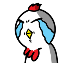 cute chicken angry chicken sticker #10286670