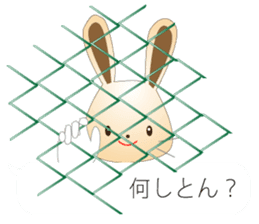 Rabbit speak Kobe valve sticker #10288080