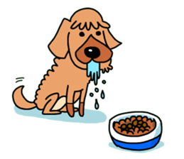 The name of Pet dog is barley sticker #10288933