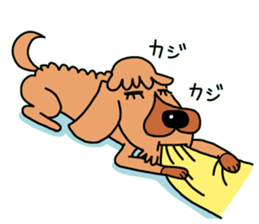 The name of Pet dog is barley sticker #10288941