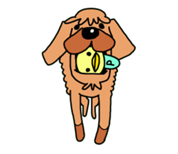 The name of Pet dog is barley sticker #10288949