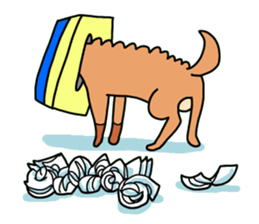 The name of Pet dog is barley sticker #10288951