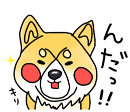 SIBA DOG ? ? sticker #10289592