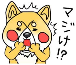 SIBA DOG ? ? sticker #10289593