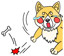 SIBA DOG ? ? sticker #10289599