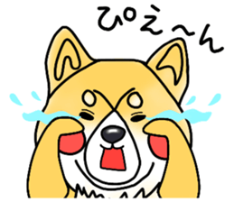 SIBA DOG ? ? sticker #10289603