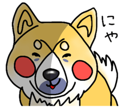 SIBA DOG ? ? sticker #10289604