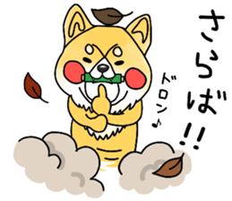 SIBA DOG ? ? sticker #10289606