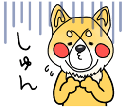 SIBA DOG ? ? sticker #10289620