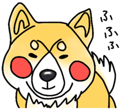 SIBA DOG ? ? sticker #10289629