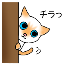 Momo Yan Coo sticker #10289668