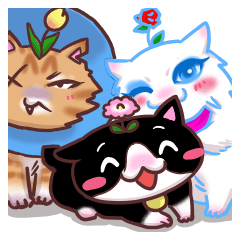 Flower cat Bunji