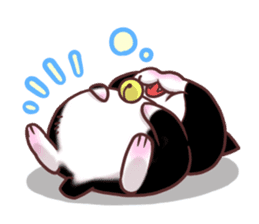 Flower cat Bunji sticker #10290235