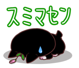 Flower cat Bunji sticker #10290244