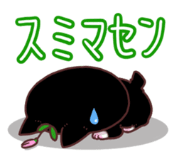 Flower cat Bunji sticker #10290244