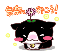 Flower cat Bunji sticker #10290248