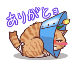 Flower cat Bunji sticker #10290267