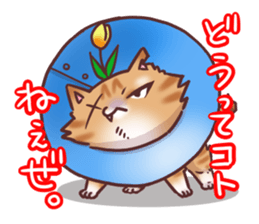 Flower cat Bunji sticker #10290269