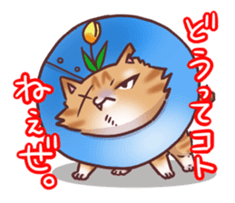 Flower cat Bunji sticker #10290269