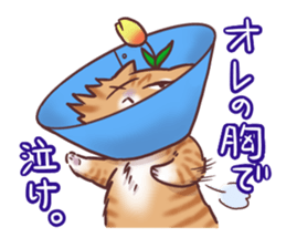 Flower cat Bunji sticker #10290270