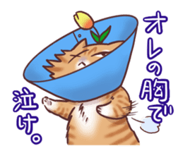 Flower cat Bunji sticker #10290270