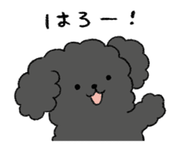 Black toy poodle sticker #10291904