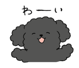 Black toy poodle sticker #10291905