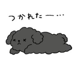 Black toy poodle sticker #10291912