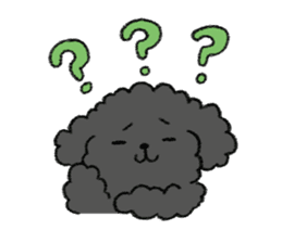 Black toy poodle sticker #10291915