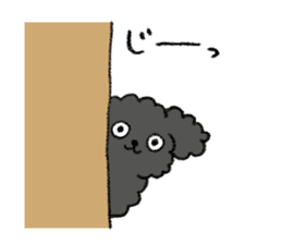 Black toy poodle sticker #10291916
