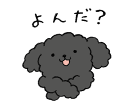 Black toy poodle sticker #10291926