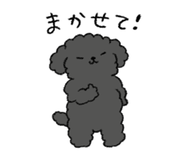 Black toy poodle sticker #10291927