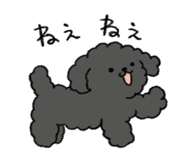 Black toy poodle sticker #10291932