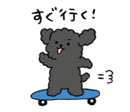 Black toy poodle sticker #10291936