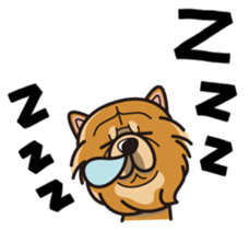 iinu - Chow Chow sticker #10292039