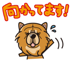 iinu - Chow Chow sticker #10292045