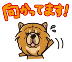 iinu - Chow Chow sticker #10292045