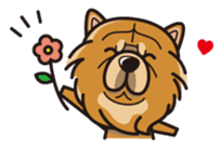 iinu - Chow Chow sticker #10292049
