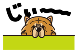 iinu - Chow Chow sticker #10292050