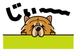 iinu - Chow Chow sticker #10292050