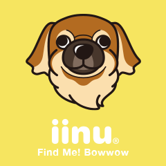 iinu - Tibetan Spaniel
