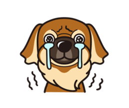 iinu - Tibetan Spaniel sticker #10292192