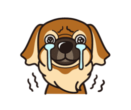 iinu - Tibetan Spaniel sticker #10292192