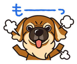 iinu - Tibetan Spaniel sticker #10292197